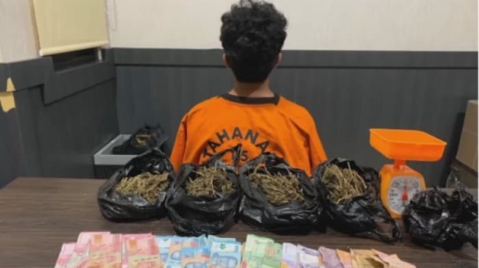 Polda Babel Ringkus 2 Pengedar di Gabek, Sita 410 Gram Ganja